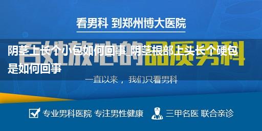 阴茎上长个小包如何回事_阴茎根部上头长个硬包是如何回事